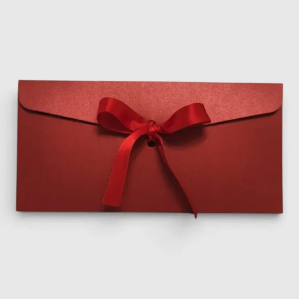 Конверти без тексту 22×11 см — 10 шт.