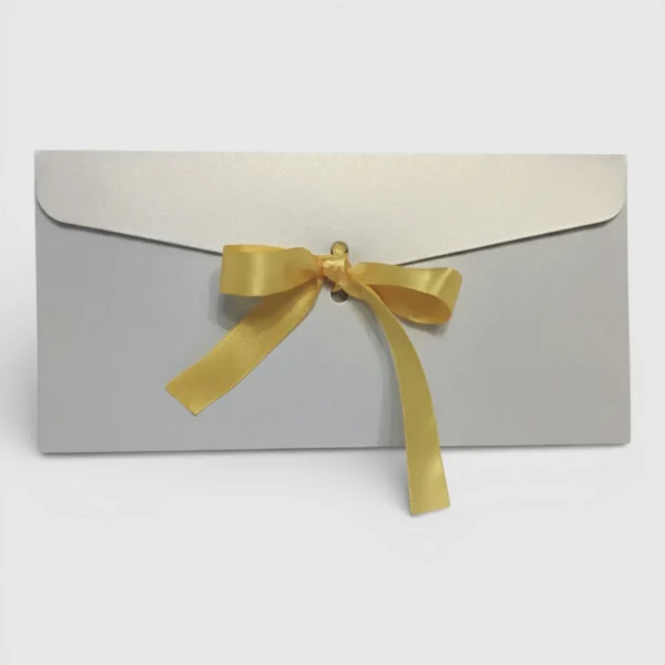 Конверти без тексту 22×11 см — 10 шт.