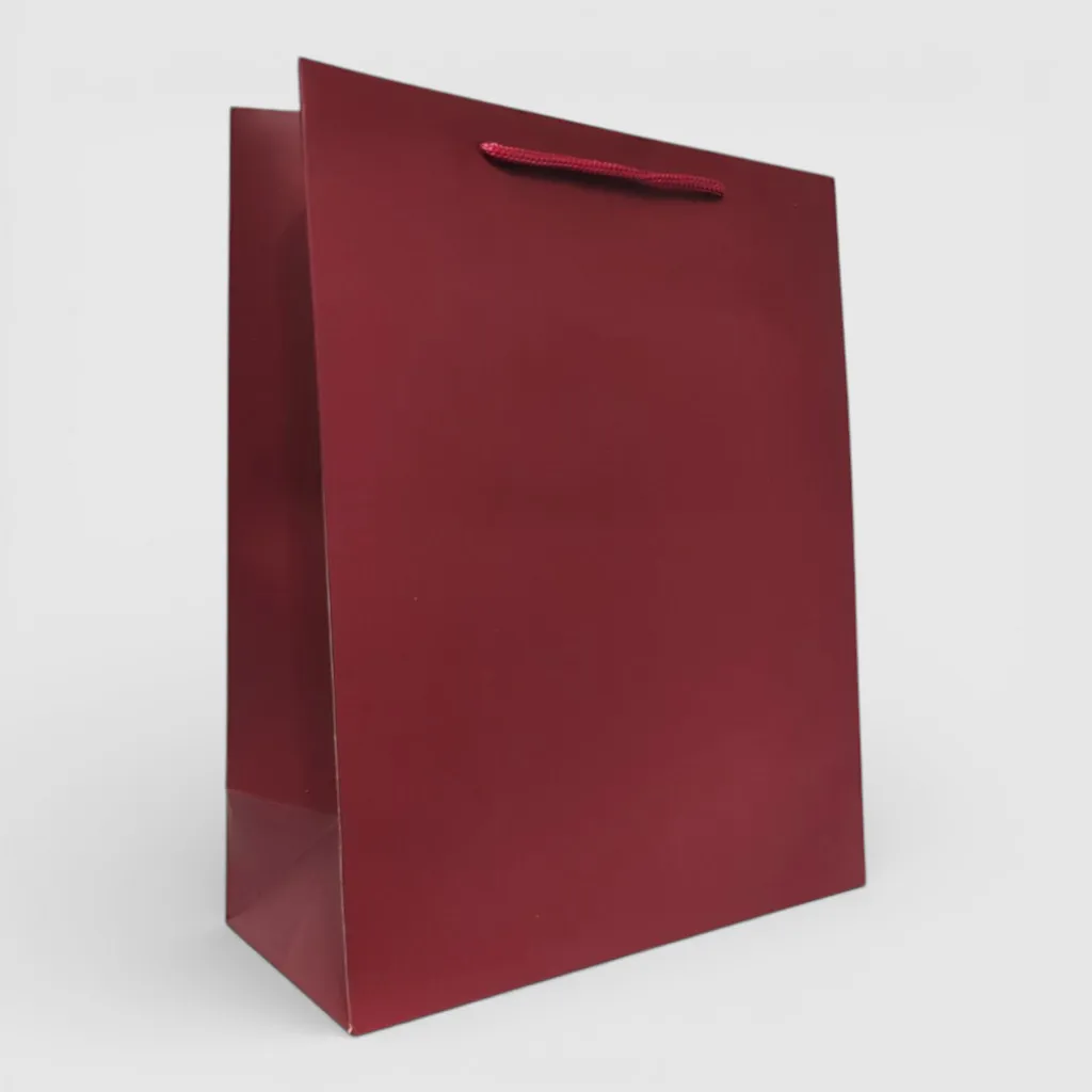 Подарункові пакети 18×23×8 см – 12 шт, картон - Зображення 5
